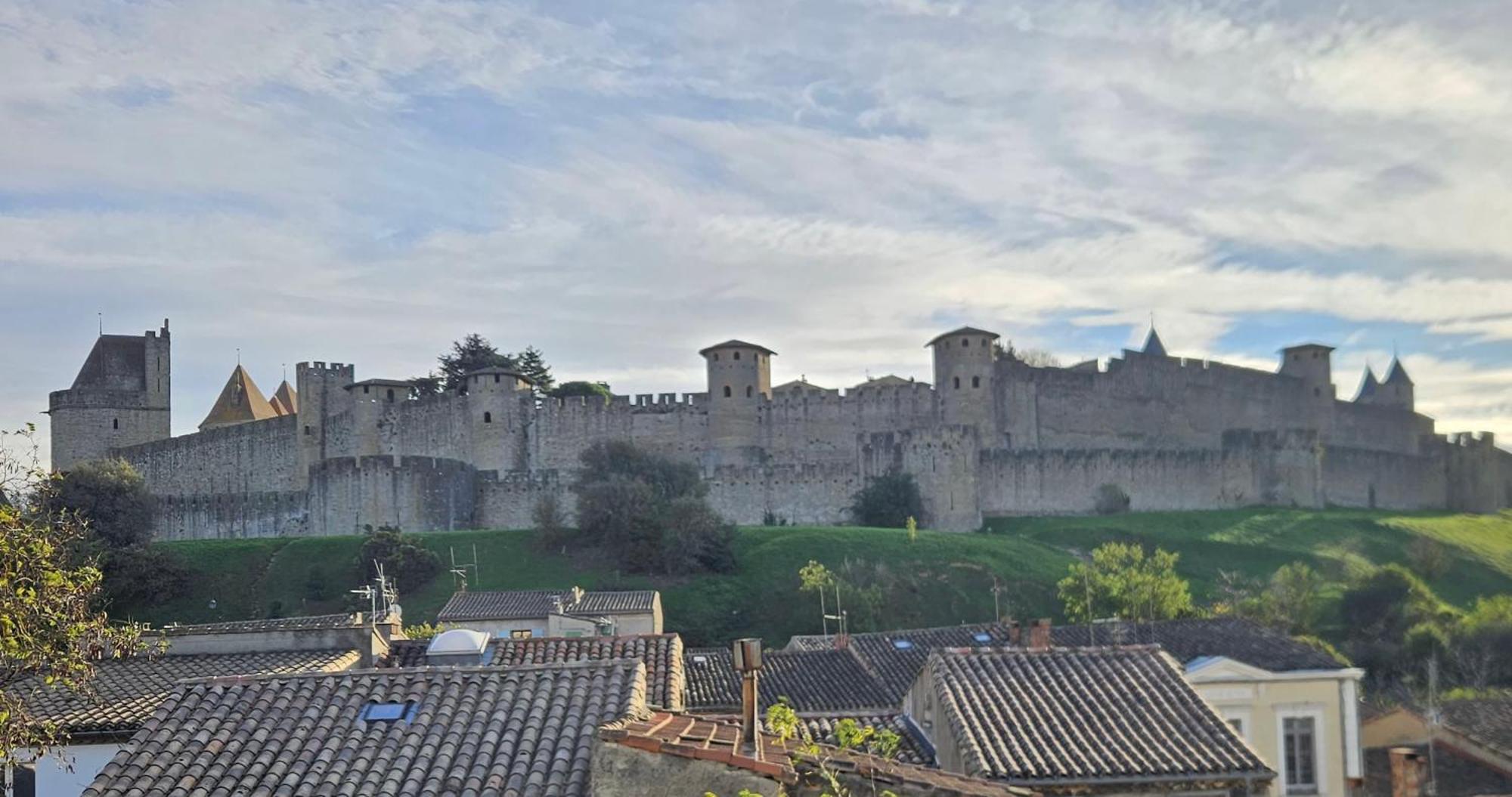 Vue Cite Medievale Castel View Carcassonne Exterior photo