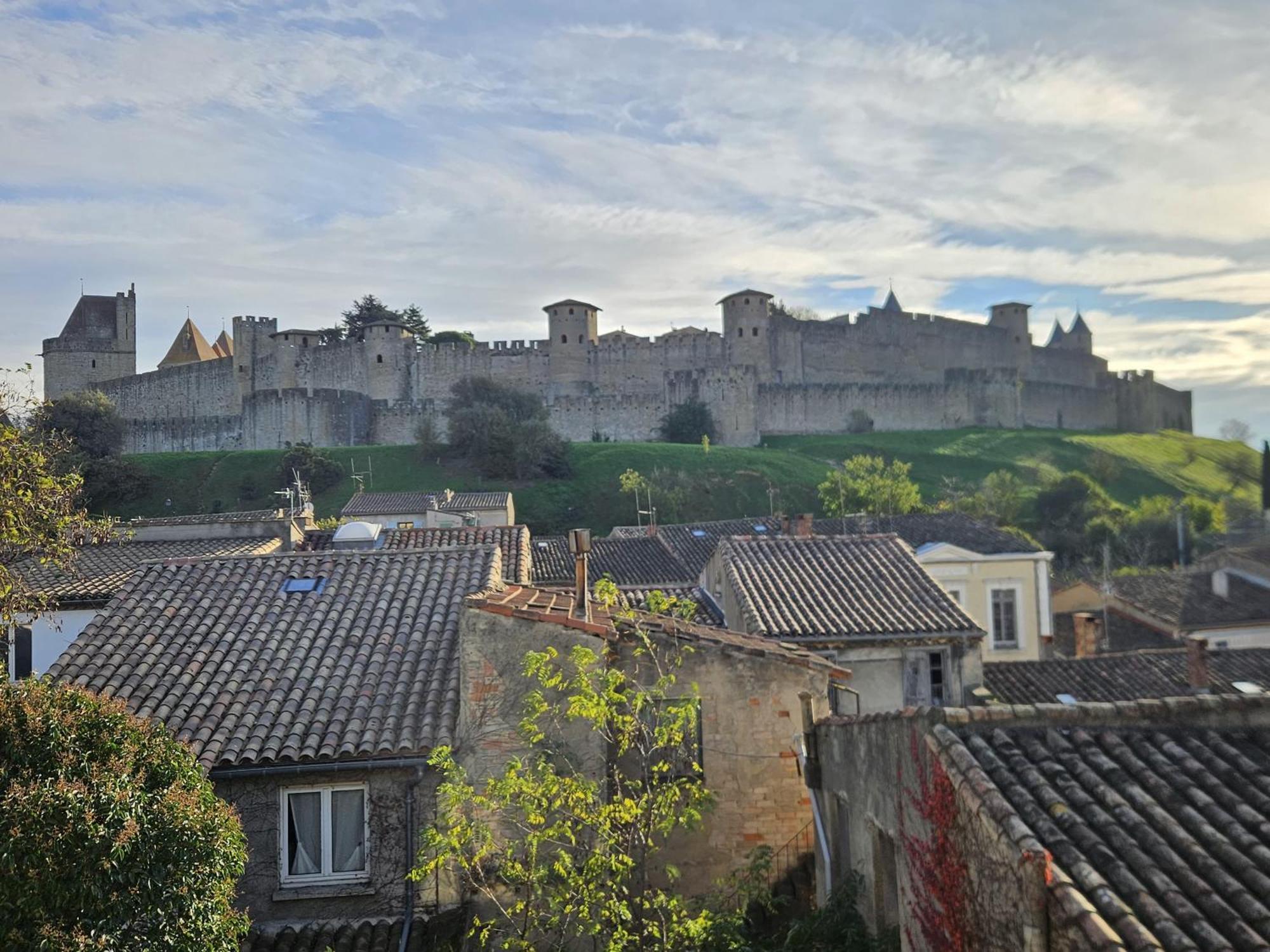 Vue Cite Medievale Castel View Carcassonne Exterior photo